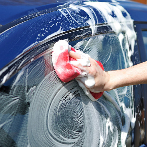Washing & Shampoos